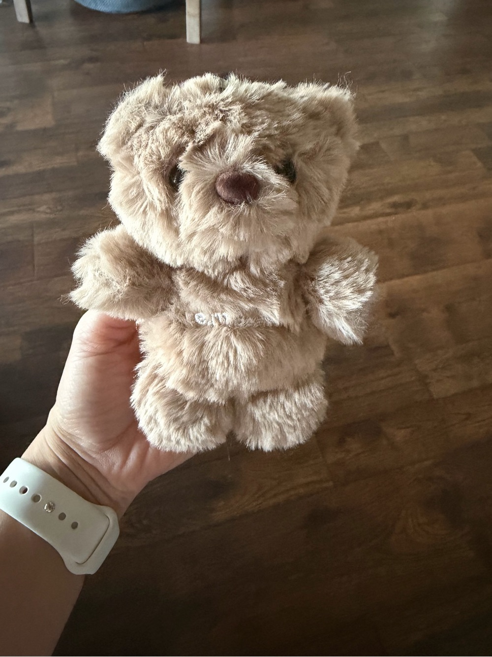 Neutral Brown Lip Balm & Gloss Case - Plush Teddy Design